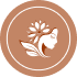 Pari Beauty Care Logo